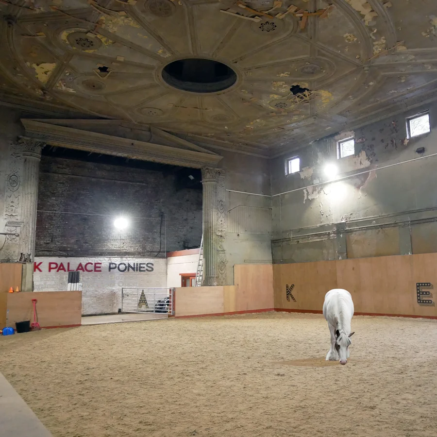 Interior shot of pony trekking school